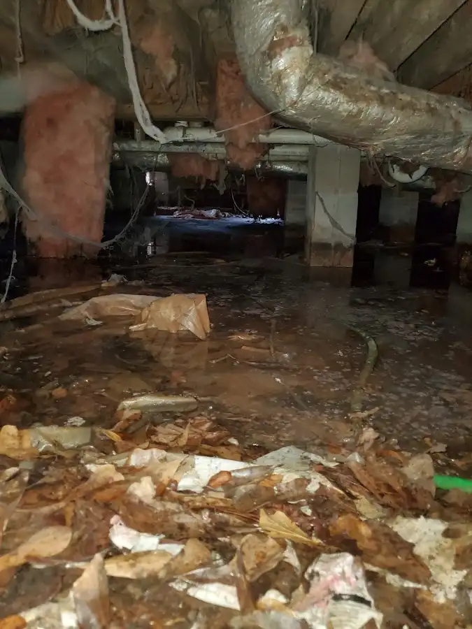 Crawl space flood assessment for Leak Detection & Repair in East Aurora